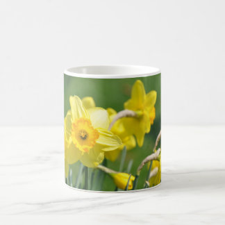 Daffodils Koffiemok