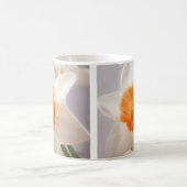 Daffodils Koffiemok (Center)