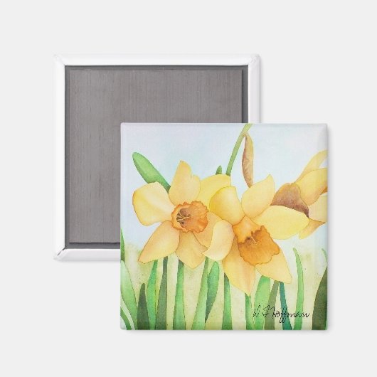 Daffodils Magnet (Voorkant / Achterkant)