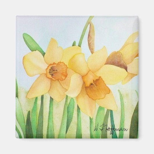 Daffodils Magnet (Voorkant)