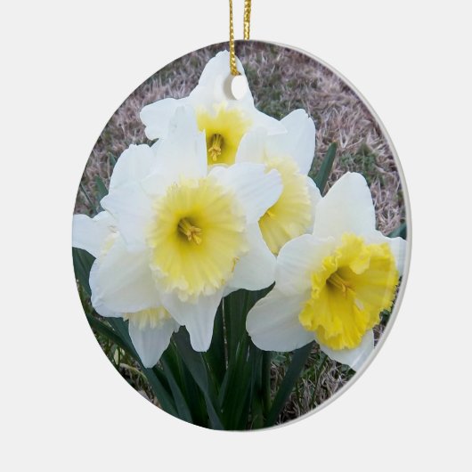 Daffodils Memorial Ornament (Links)