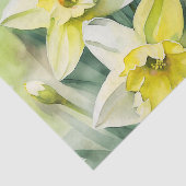 DAFFODILS ontkoppelingspapier Tissuepapier (Detail)