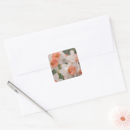 Daffodils Peach Vierkante Sticker (Envelop)