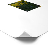 Daffodils  poster (Hoek)