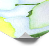 Daffodils Poster (Hoek)