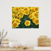 Daffodils Poster (Keuken)