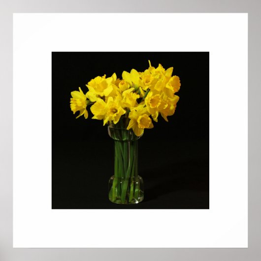 Daffodils Poster (Voorkant)