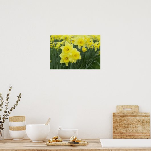 Daffodils Poster (Keuken)