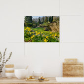 Daffodils Poster (Keuken)
