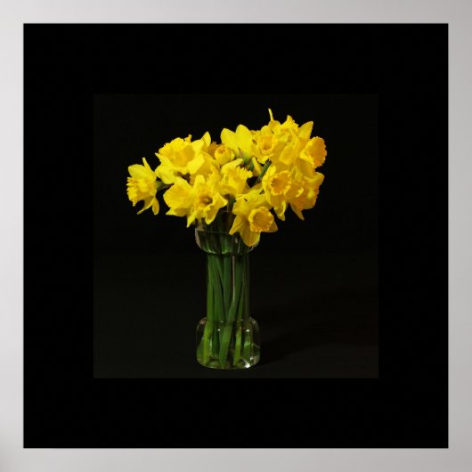 Daffodils Poster (Voorkant)