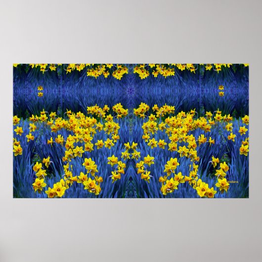 Daffodils reflecteren poster (Voorkant)