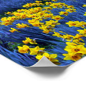 Daffodils reflecteren poster (Hoek)