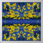 Daffodils reflecteren poster (Voorkant)