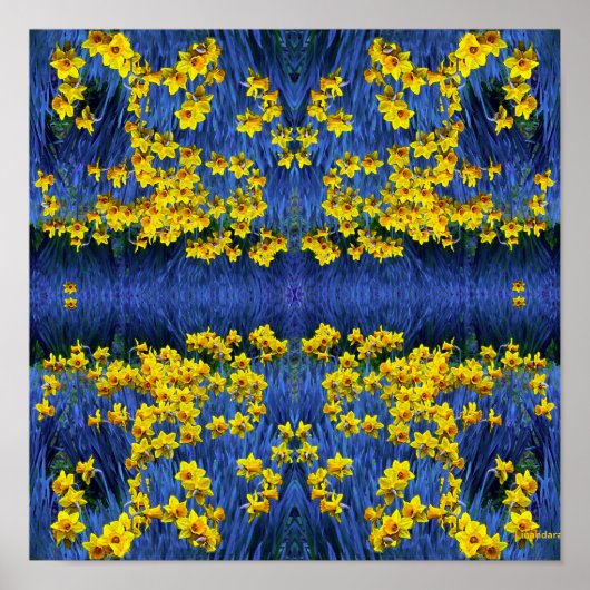 Daffodils reflecteren poster (Voorkant)