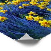 Daffodils reflecteren poster (Hoek)