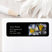 Daffodils Return Address Labels (Insitu)
