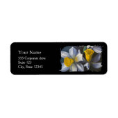 Daffodils Return Address Labels (Voorkant)