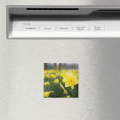 Daffodils (RF) Magneet (Insitu (Vaatwasser))