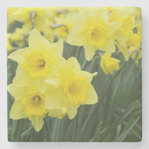Daffodils RF) Stenen Onderzetter