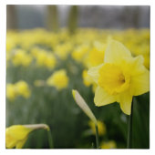 Daffodils (RF) Tegeltje (Voorkant)
