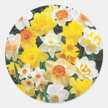 Daffodils Sign of Spring Envelope Seal Sticker