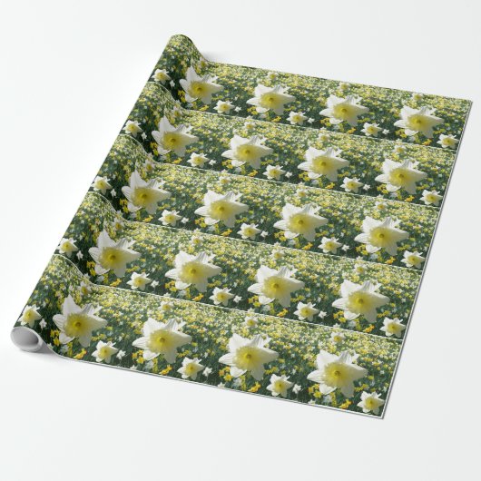 Daffodils Spring Flowers Pattern Wrapping Paper Cadeaupapier (Uitgerold)
