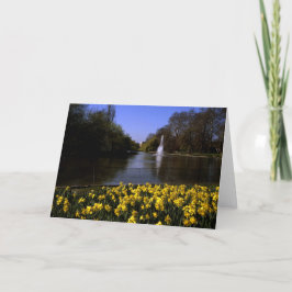Daffodils St James's Park, Londen Bedankkaart