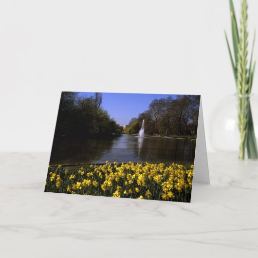 Daffodils St James's Park, Londen Bedankkaart (Voorkant)