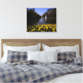Daffodils St James's Park, Londen Canvas Afdruk (Insitu (Slaapkamer))