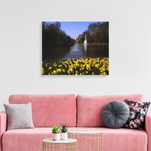 Daffodils St James's Park, Londen Canvas Afdruk (Insitu (Woonkamer))