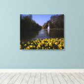 Daffodils St James's Park, Londen Canvas Afdruk (Insitu (Houten vloer))
