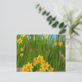 Daffodils: Susan Payne-Trutna Briefkaart (Staand voorkant)