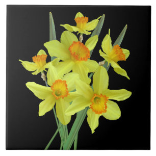 Daffodils Tegeltje
