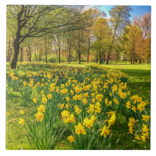 Daffodils Tegeltje