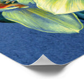 "Daffodils - the joys of spring" fine art poster (Hoek)