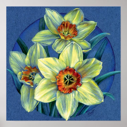 "Daffodils - the joys of spring" fine art poster (Voorkant)
