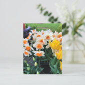 Daffodils & Tulips, Oregon Briefkaart (Staand voorkant)
