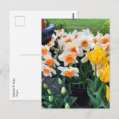 Daffodils & Tulips, Oregon Briefkaart (Voorkant / Achterkant)