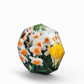 Daffodils & Tulips, Oregon Fotoblokken (Rechts)