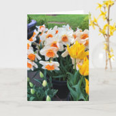 Daffodils & Tulips, Oregon Kaart (Gele Bloem)