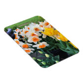 Daffodils & Tulips, Oregon Magneet (Rechterzijde)