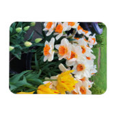 Daffodils & Tulips, Oregon Magneet (Horizontaal)