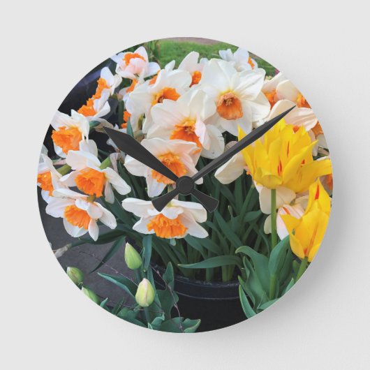 Daffodils & Tulips, Oregon Ronde Klok (Voorkant)