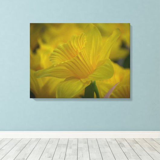 Daffodils up close canvas print (Insitu (Houten vloer))