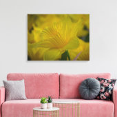 Daffodils up close canvas print (Insitu (Woonkamer))