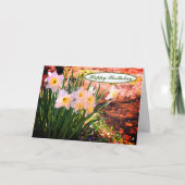 Daffodils van Brook Floral Birthday Kaart (Voorkant)