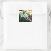 Daffodils van Brook Floral Vierkante Sticker (Tas)