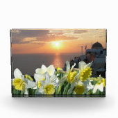 Daffodils Wit en Geel Fotoblok (Voorkant)