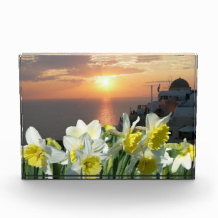 Daffodils Wit en Geel Fotoblok