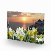 Daffodils Wit en Geel Fotoblok (Rechts)